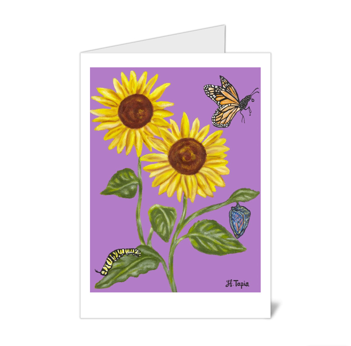 Sunflower with purple background note card