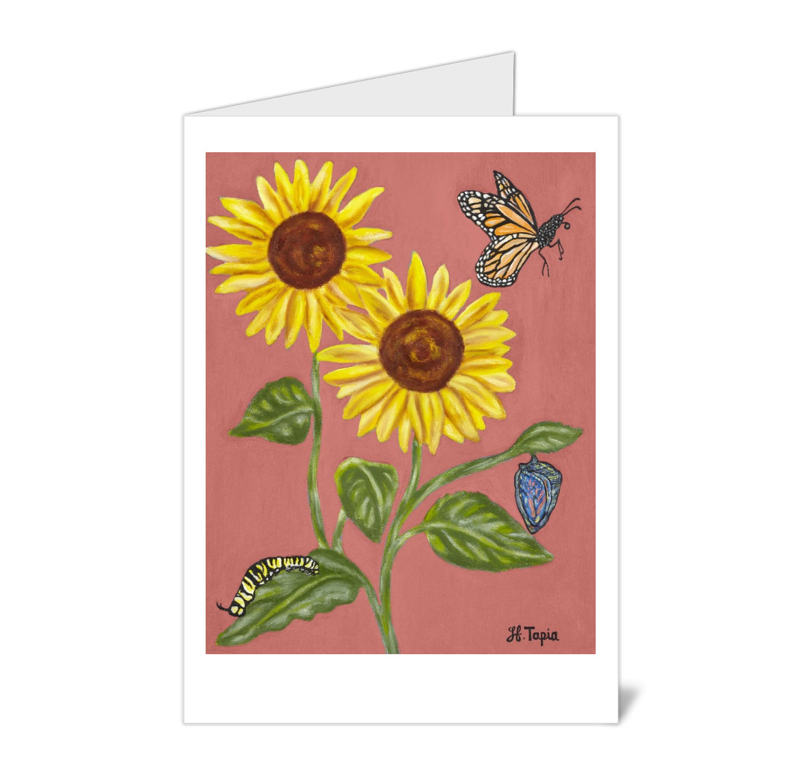 Sunflowers on coral background note card