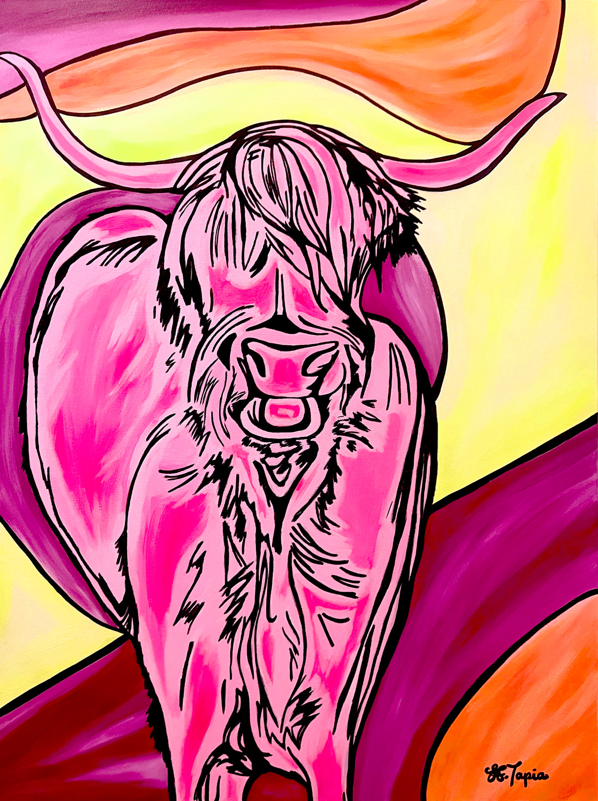 Jem- the rockstar highland cow