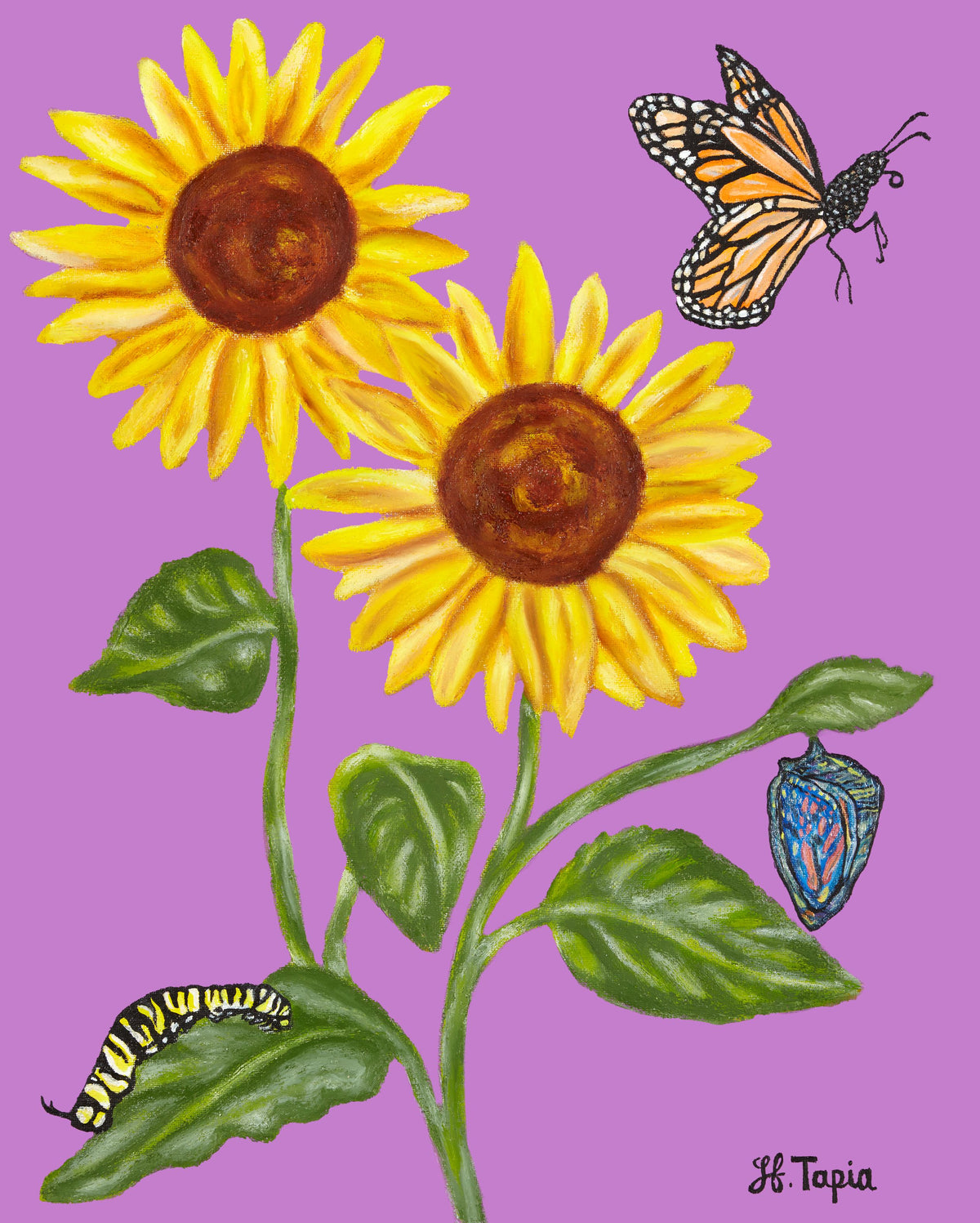 Sunflower ornament on purple background (rectangle shape)