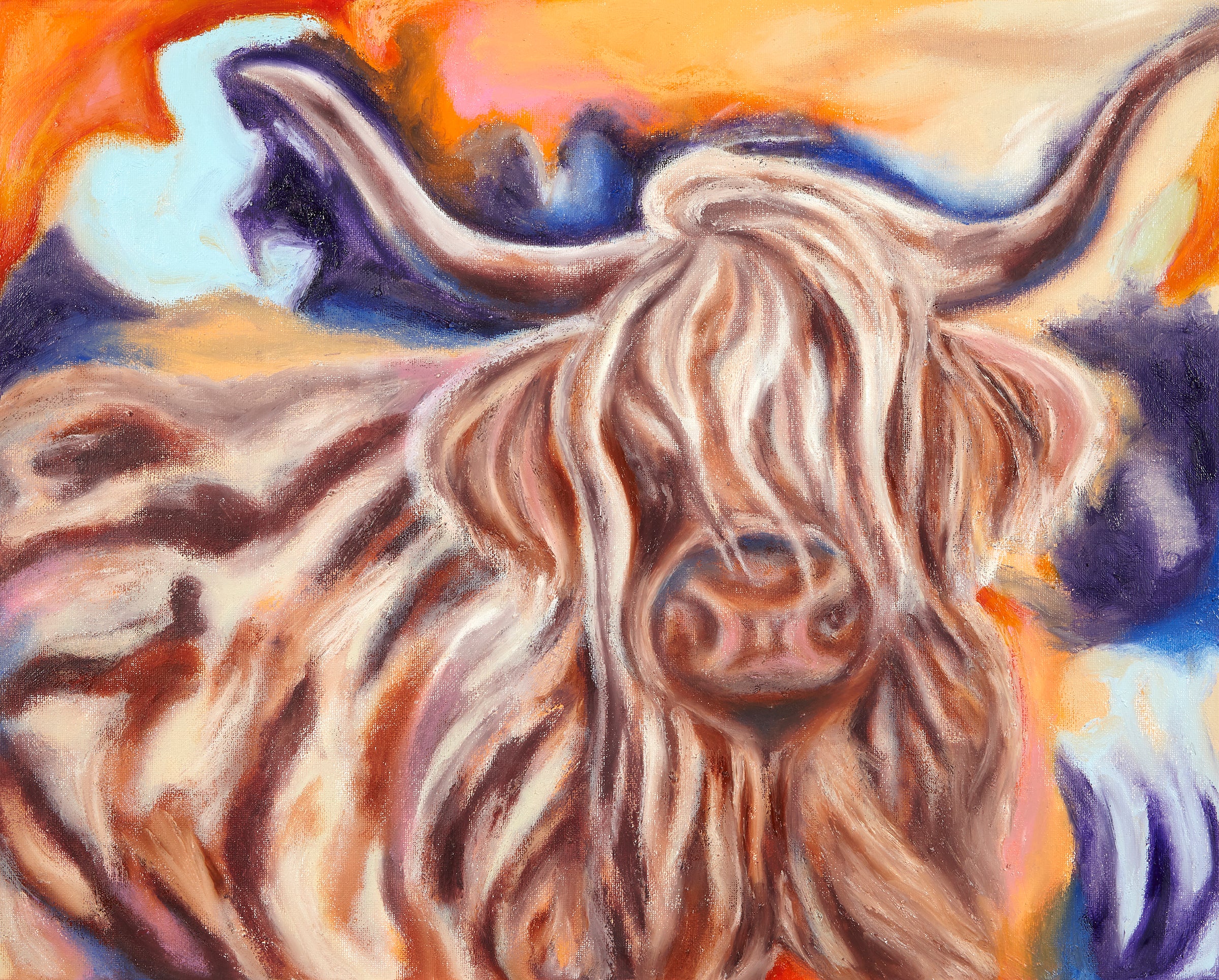Highland cow- Claribelle print
