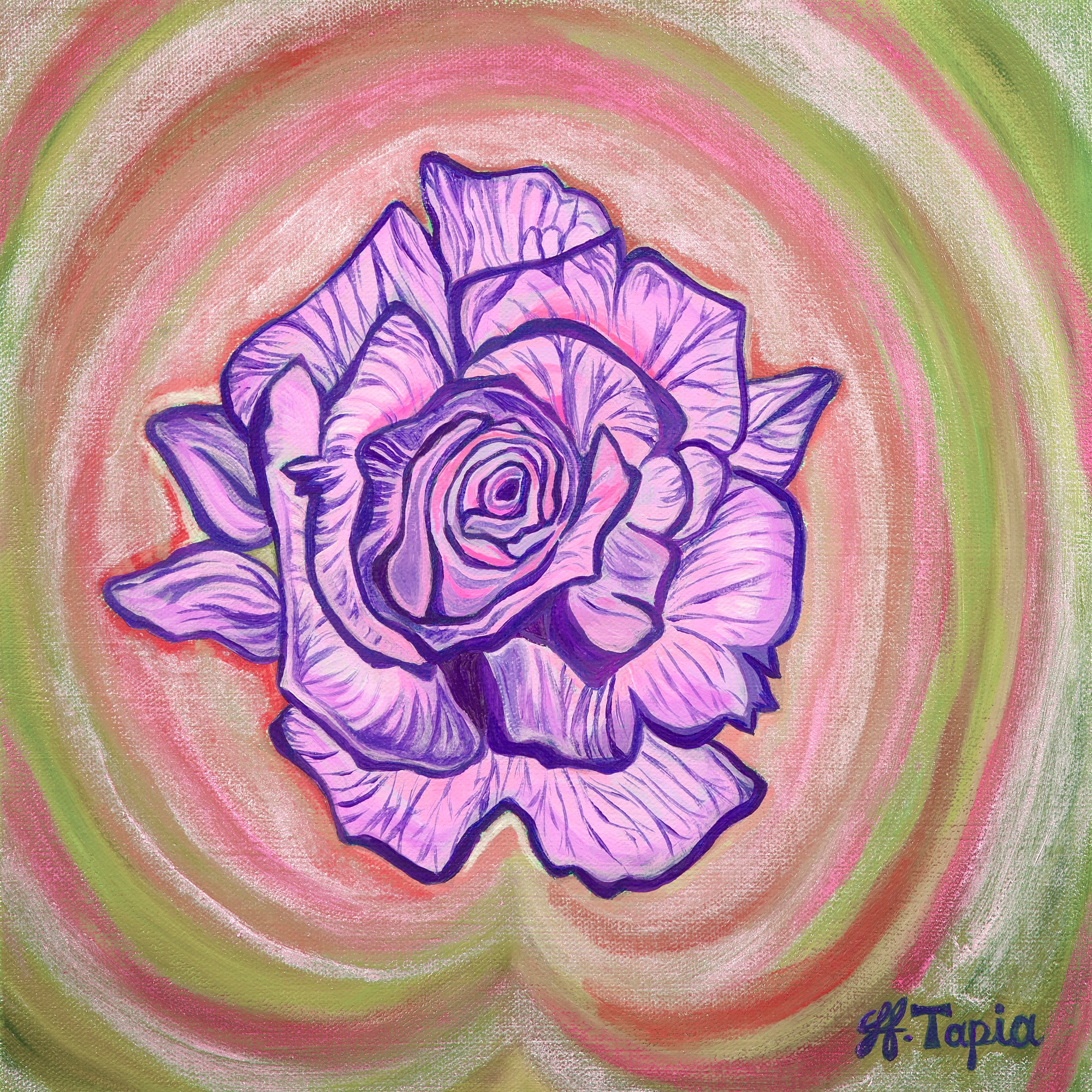 Pink and Purple Rose