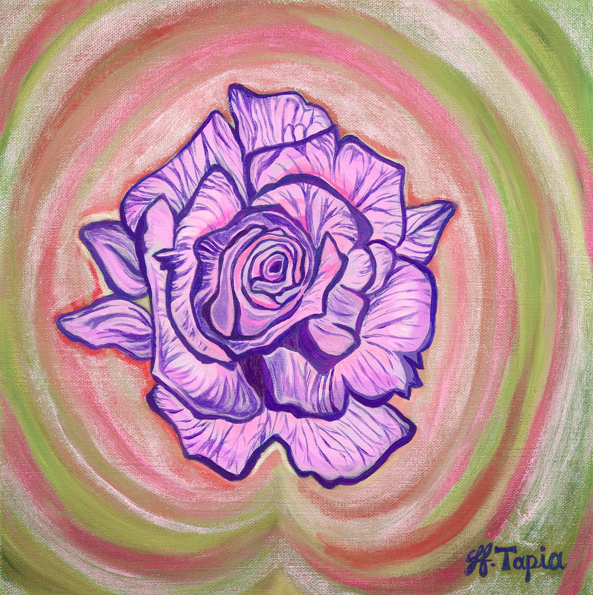 Pink and Purple Rose