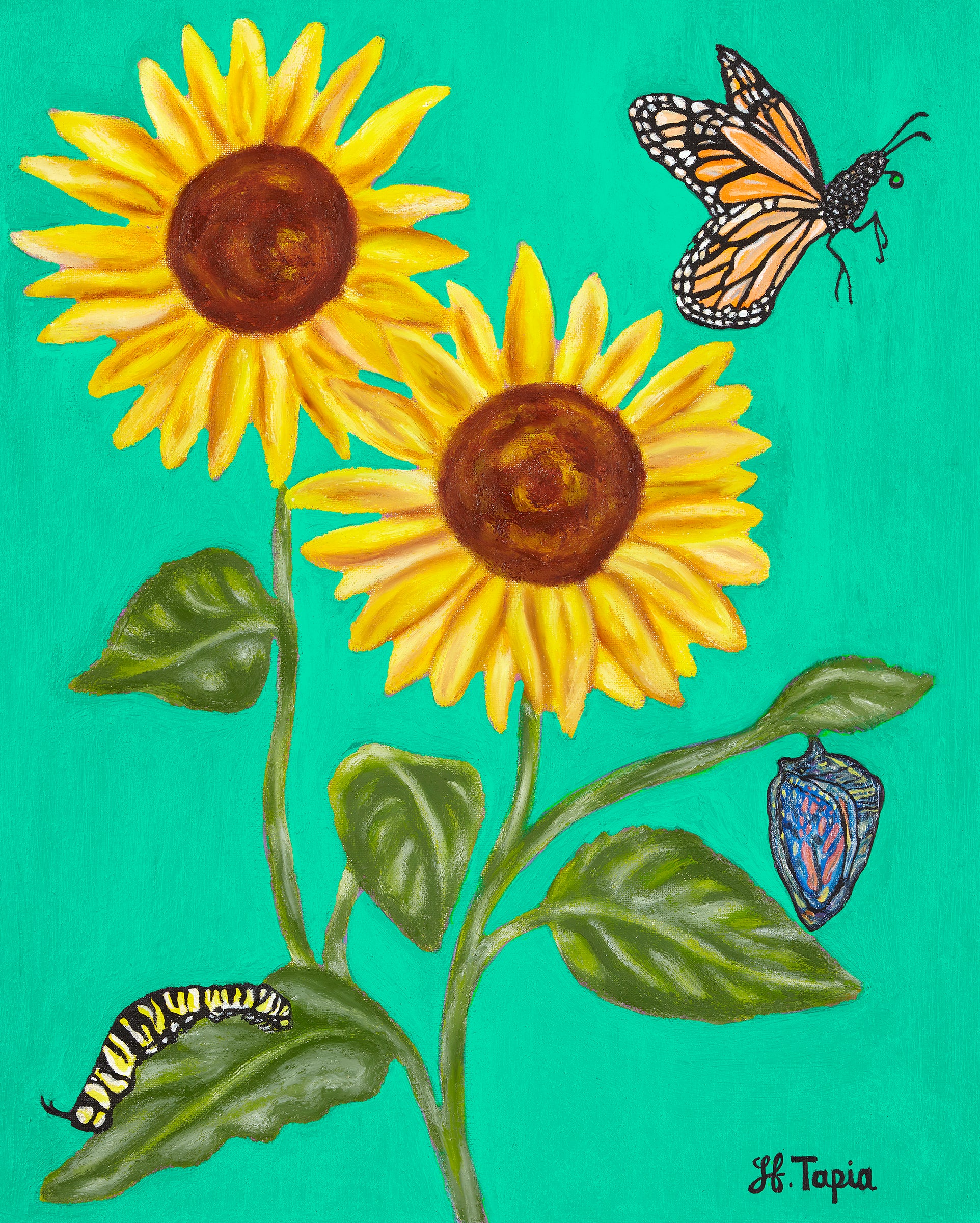 Sunflower ornament on green background (pentagon shaped)