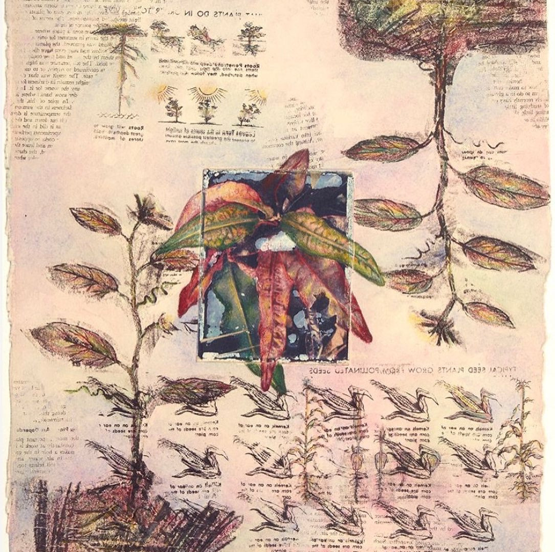 Plant Mixed Media Limited-Edition Print